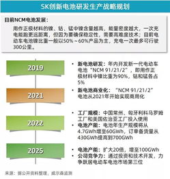 5月新能源乘用車市場增速放緩，投資管理面臨新考量