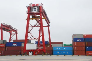 山東到海口國內集裝箱海運專線運輸公司