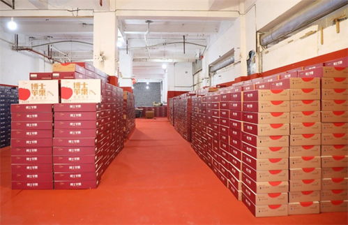 水果批發(fā)多個好去處 觀山湖這個交易中心即將開業(yè)