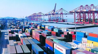 全球外貿(mào) 遇冷 浙江冒寒前行 今年將千方百計拓市場守陣地